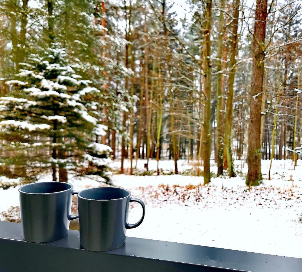 Apartament z Widokiem na Park Polanica-Zdrój Zewnętrze zdjęcie