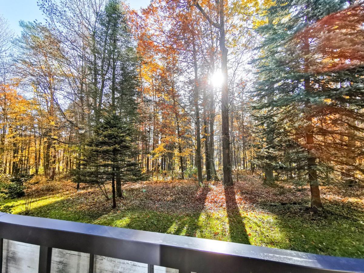 Apartament z Widokiem na Park Polanica-Zdrój Zewnętrze zdjęcie