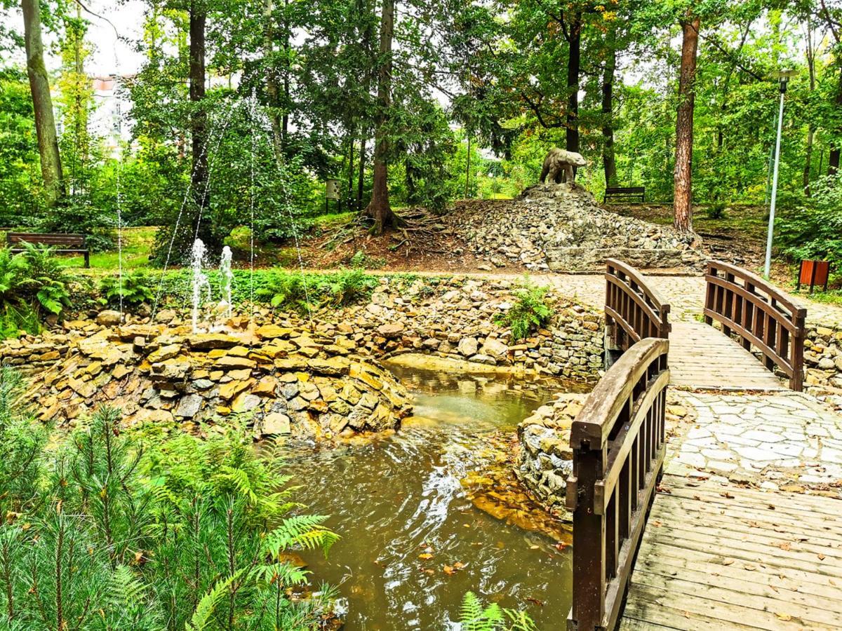 Apartament z Widokiem na Park Polanica-Zdrój Zewnętrze zdjęcie