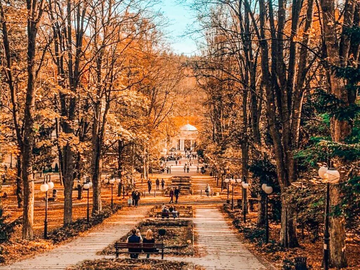 Apartament z Widokiem na Park Polanica-Zdrój Zewnętrze zdjęcie